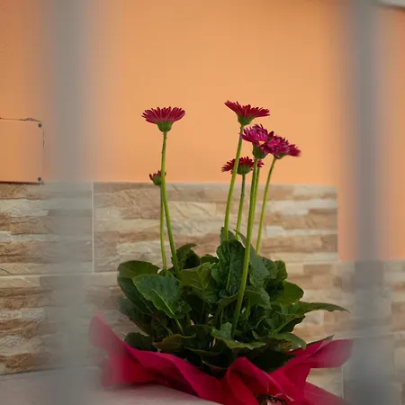 L'orizzonte Ercolano