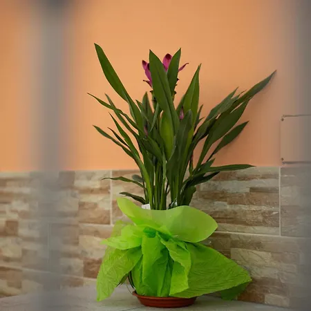 L'orizzonte Alojamento de Acomodação e Pequeno-almoço Ercolano