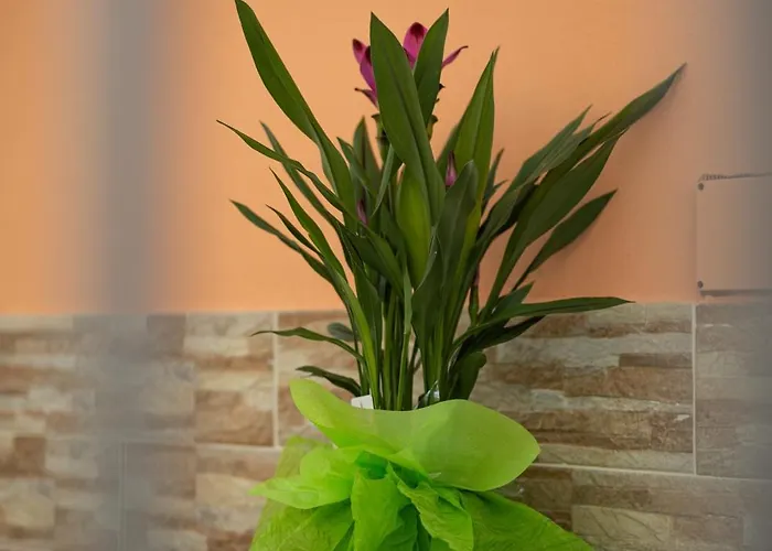 L'orizzonte Bed and breakfast Ercolano