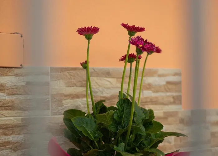 L'orizzonte Ercolano